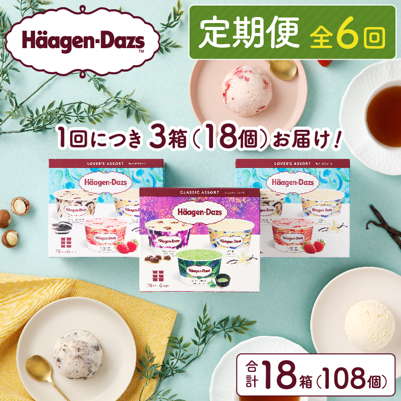 ＜全6回定期便・連続＞ハーゲンダッツ『アソートボックス3箱セット(合計18箱)』アイスクリーム アイス スイーツ デザート_H0016-148