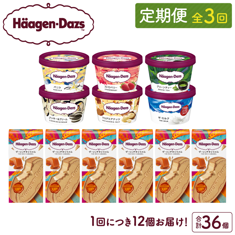 ＜全3回定期便・連続＞ハーゲンダッツ『ミニカップ＆クリスピーサンドセット(合計36個)』アイスクリーム アイス スイーツ デザート_H0026-041