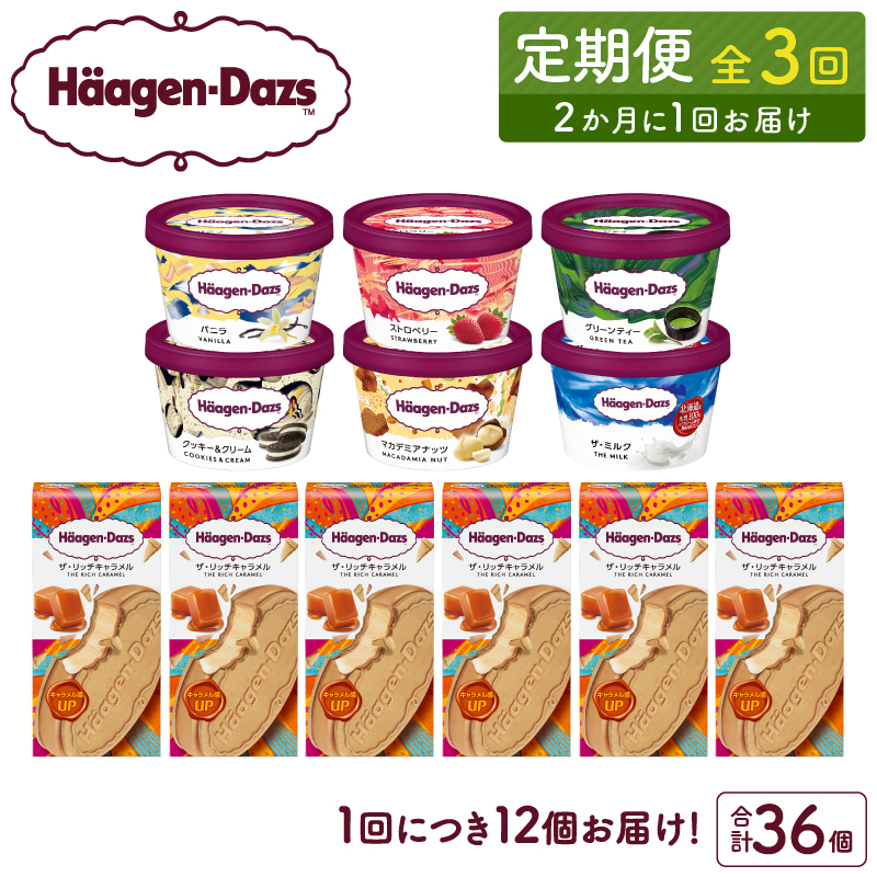 ＜全3回定期便・隔月＞ハーゲンダッツ『ミニカップ＆クリスピーサンドセット(合計36個)』アイスクリーム アイス スイーツ デザート_H0026-048