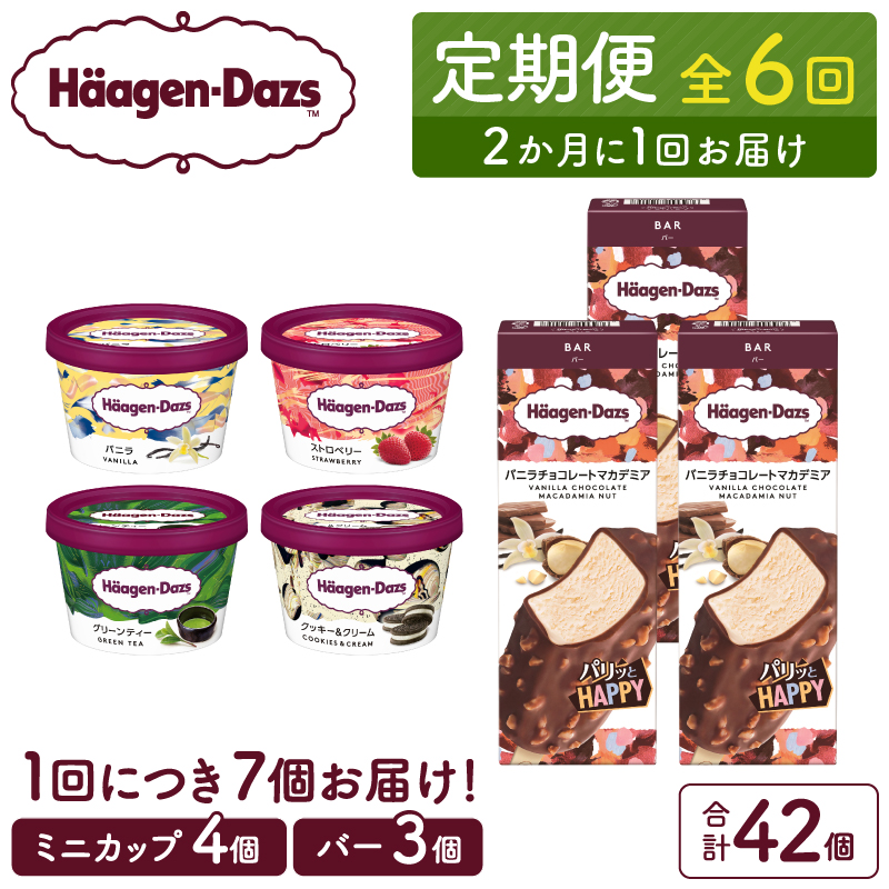 ＜全6回定期便・隔月＞ハーゲンダッツ『ミニカップ＆バーセット(合計42個)』アイスクリーム アイス スイーツ デザート_H0026-051