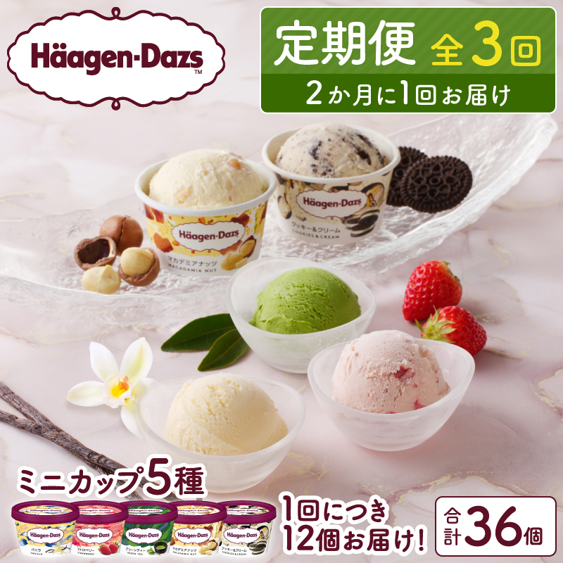 ＜全3回定期便・隔月＞ハーゲンダッツ『定番ミニカップフレーバー5種セット(合計36個)』アイスクリーム アイス スイーツ デザート_H0026-052
