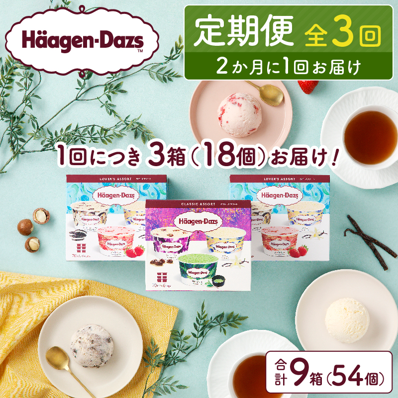 ＜全3回定期便・隔月＞ハーゲンダッツ『アソートボックス3箱セット(合計9箱)』アイスクリーム アイス スイーツ デザート_H0026-056-n