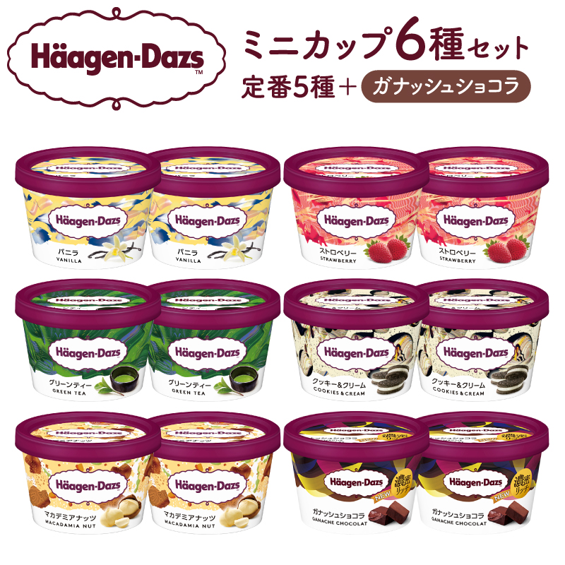 ハーゲンダッツ『ミニカップ12個セット（定番フレーバー＆新商品 ガナッシュショコラ）』アイスクリーム アイス スイーツ デザート_H0026-062