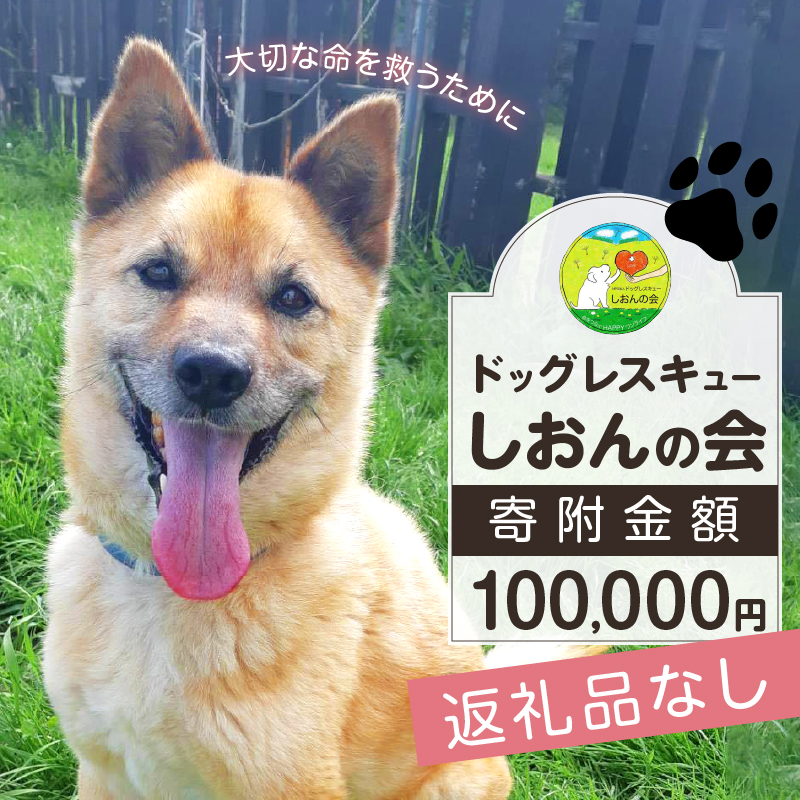 【野犬の保護活動】浜中町「ドッグレスキューしおんの会」を支援　100000円分 返礼品なし_H0039-009