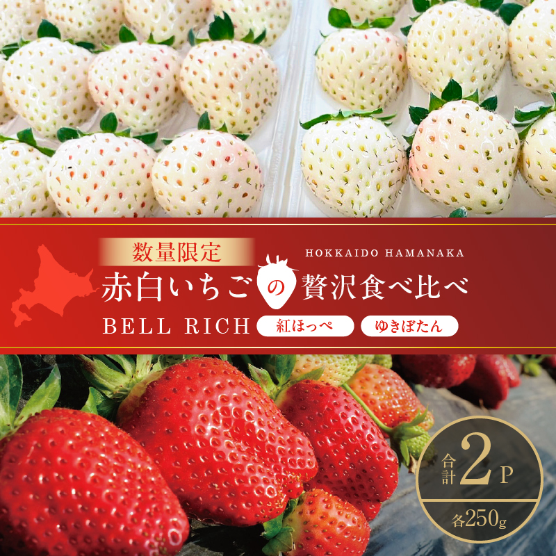 《数量限定》赤白いちごの贅沢食べ比べセット(合計2パック) BELL RICH_H0049-001