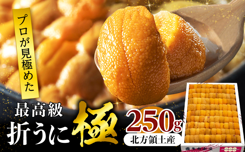 ≪プロ厳選≫最高級折うに(極)計250g うに ウニ 雲丹 折うに 海鮮 海産物 北海道 浜中町 ふるさと納税 人気_H0014-007