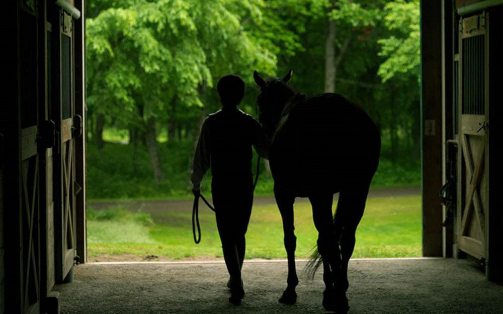 【ヘイゼルグラウスマナー】60分乗馬体験チケット1名様分（リバーサイドコース）｜チケット 体験 乗馬 乗馬体験 北海道 標茶町 ヘイゼルグラウス 自然 アウトドア スポーツ レジャー リラックス アクティビティ 