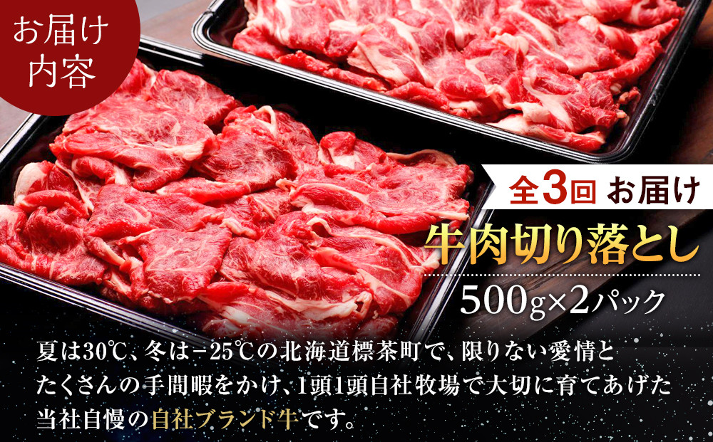 【3か月 定期便】北海道産 星空の黒牛 切り落とし 約1kg（500g×2） 【 肉 にく ニク 牛肉 牛肉赤身 赤身 牛肉セット バーベキュー 冷凍牛肉 贅沢牛肉 国産牛肉 北海道産牛肉 道産牛肉 簡単 お手軽 特製牛肉 標茶町 北海道 】