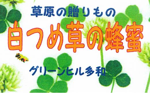＜北海道標茶産＞しろつめ草の蜂蜜　300g×2本　計600g【 はちみつ しろつめ草 蜂蜜 天然 甘味料 国産 標茶町 北海道 】