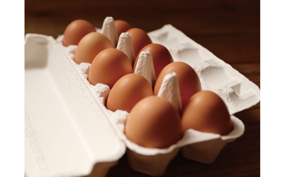 【ポロニ養鶏場】有精卵 計60個（10個×6パック）【 たまご ポロニ養鶏場 デザート ケーキ お菓子 標茶町 北海道 】