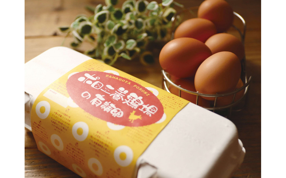 ポロニ養鶏場がお届けする3点セット　有精卵（計30個 10個×3パック）・プリン・シフォンケーキ【 たまご ポロニ養鶏場 デザート ケーキ お菓子 標茶町 北海道 】