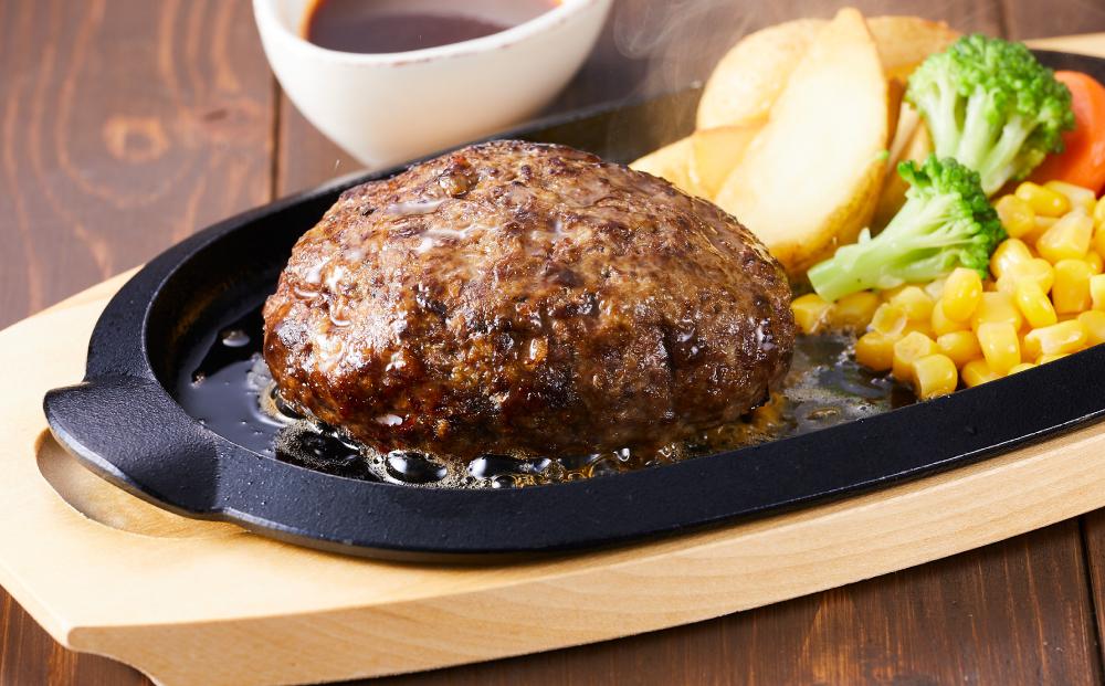 北海道 標茶町産 エゾ 鹿肉 ひき肉 1kg