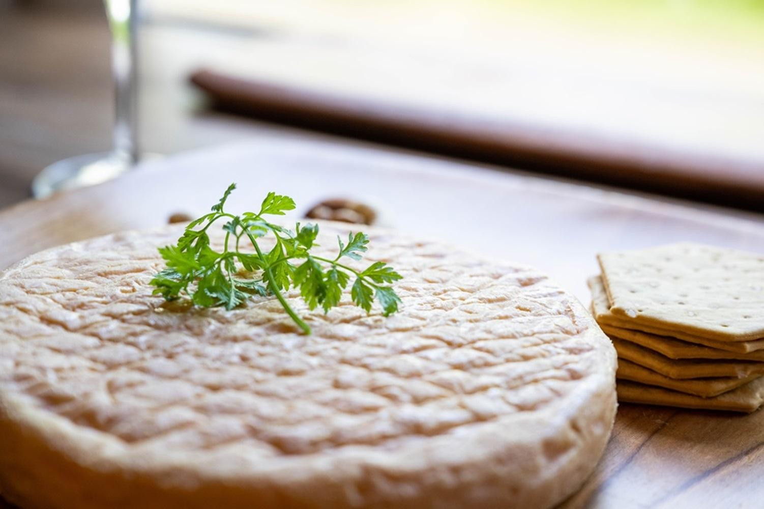 北海道標茶町　長坂牧場チーズ工房　ウォッシュチーズ このみ 1ホール500g前後【 ナチュラルチーズ 乳製品 発酵 熟成 グルメ ギフト お取り寄せ 標茶町 北海道 】