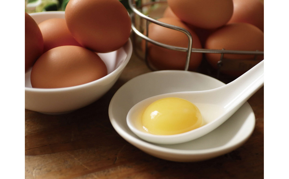 【ポロニ養鶏場】有精卵 計60個（10個×6パック）【 たまご ポロニ養鶏場 デザート ケーキ お菓子 標茶町 北海道 】