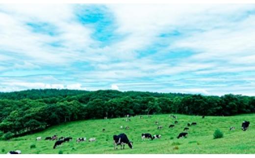 【ミルキークラウン】バニラアイスクリーム 10個