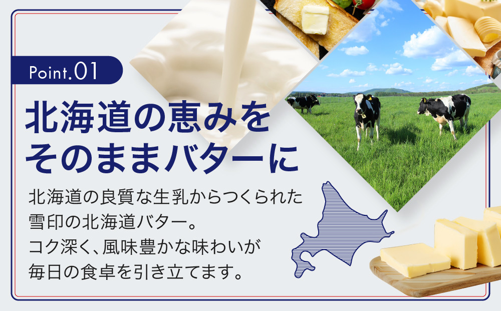 【12か月 定期便】切れてる 雪印 北海道 バター（10g×10個入）×5個【 乳製品 バター 雪印 朝食 ギフト　料理用 キャンプ 標茶町 北海道 】