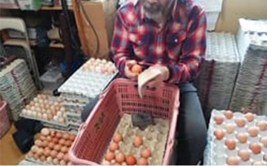 【ポロニ養鶏場】有精卵 計30個（10個×3パック）【 たまご ポロニ養鶏場 デザート ケーキ お菓子 標茶町 北海道 】