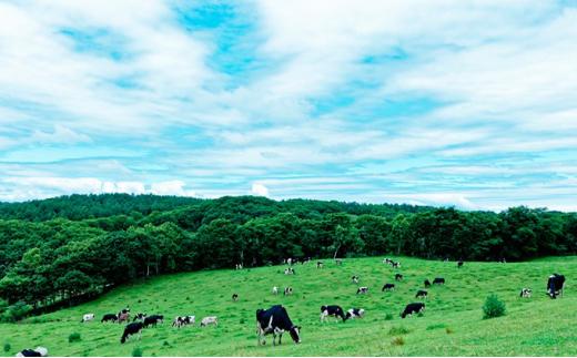 【ミルキークラウン】 バニラ・プレミアム　アイスクリームセット（各5個）計10個