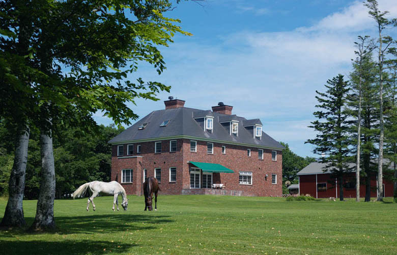 【ヘイゼルグラウスマナー】60分乗馬体験チケット1名様分（リバーサイドコース）｜チケット 体験 乗馬 乗馬体験 北海道 標茶町 ヘイゼルグラウス 自然 アウトドア スポーツ レジャー リラックス アクティビティ 