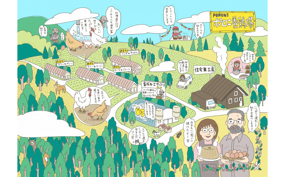 【ポロニ養鶏場】有精卵 計60個（10個×6パック）【 たまご ポロニ養鶏場 デザート ケーキ お菓子 標茶町 北海道 】