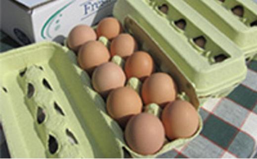 【ポロニ養鶏場】有精卵 計30個（10個×3パック）【 たまご ポロニ養鶏場 デザート ケーキ お菓子 標茶町 北海道 】