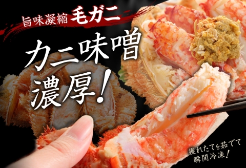 3336. 毛蟹 2尾 計1.5kg前後 食べ方ガイド・専用ハサミ付 カニ かに 蟹 海鮮 ボイル 送料無料 北海道 弟子屈町