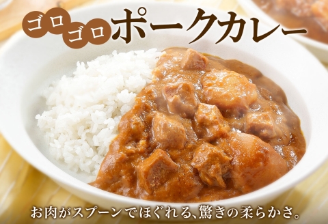 776.ポークカレー 10個 中辛 じゃがいも ポーク 豚 業務用 レトルトカレー 保存食 備蓄 まとめ買い 北海道 弟子屈町