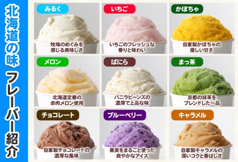 1336.アイスクリーム ジェラート 食べ比べ 15個 アイス A セット 手作り 北海道 弟子屈町