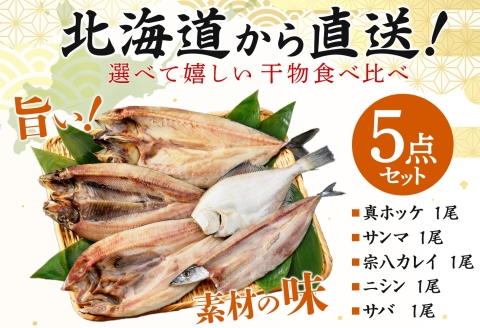 2522. ふっくらやわらか 干物 5点セット 真ホッケ サンマ カレイ ニシン サバ 魚介 海鮮 送料無料 北海道 弟子屈町