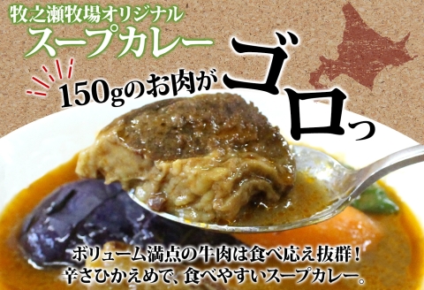 3024. ビーフ スープカレー 300g 15箱 カレー ビーフカレー スープ 牛 牛肉 放牧牛 牧場 レトルトカレー レトルト食品 レトルト 湯煎 レンジ 牧之瀬牧場 送料無料 北海道 弟子屈町