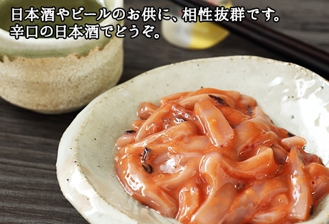 3163. いかの塩辛 500g いか イカ 烏賊 おつまみ 魚介 海鮮 送料無料 北海道 弟子屈町