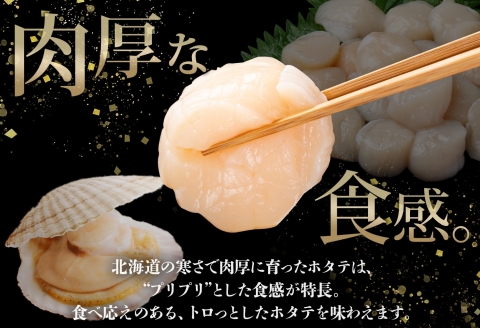 【年内配送 12月10日まで受付】3321. ホタテ貝柱 800g 100g×8 小分け ほたて 帆立 貝柱 玉冷 貝 刺身 お刺身 海鮮 冷凍 ご家庭用 送料無料 北海道 弟子屈町