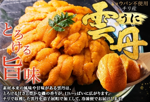 3209. うに 海鮮 ウニ チリ産 冷凍 200g 4人前 雲丹 丼 刺身 送料無料 北海道 弟子屈町