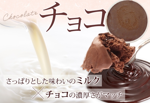 3220. 牧之瀬牧場 自家製アイス チョコ 90ml 6個 アイス 氷菓子 チョコ味 チョコレート フレーバー 牧場 手作り セット おやつ デザート スイーツ 冷凍 ギフト 送料無料 北海道 弟子屈町