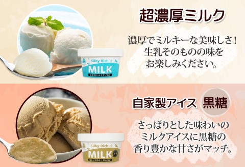 3223. 牧之瀬牧場 自家製アイス 2種 各3個 計6個 ミルク 黒糖 ミルク味 黒糖味 オリジナル アイス 生乳 牛乳 フレーバー 牧場 デザート 手作り セット スイーツ 冷凍 送料無料 北海道 弟子屈町