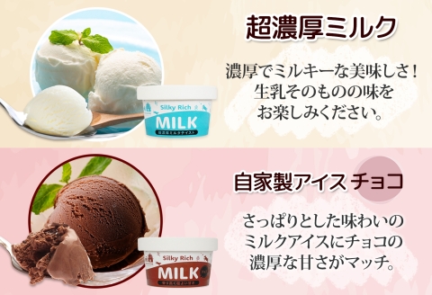 3224. 牧之瀬牧場 自家製アイス 濃厚ミルク チョコ 2種 各3個 計6個 ミルク チョコ フレーバー オリジナル  牧場 手作り セット おやつ デザート 冷凍 ギフト 送料無料 北海道 弟子屈町