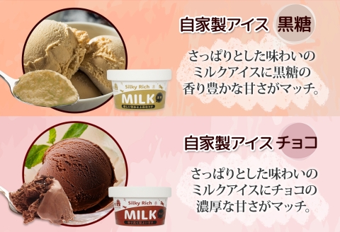 3225. 牧之瀬牧場 自家製アイス 2種 黒糖 チョコ 各3個 計6個 黒糖アイス チョコアイス 生乳 牛乳 フレーバー 牧場 デザート 手作り セット スイーツ 冷凍 送料無料 北海道 弟子屈町