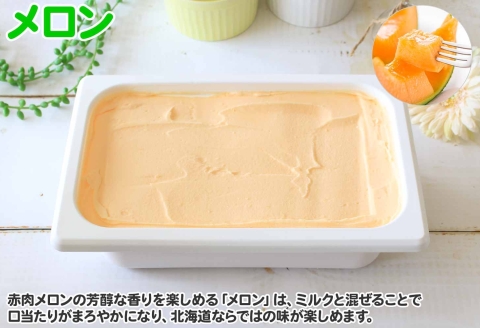 595.アイスクリーム メロン ジェラート 業務用 2リットル 2L アイス 大容量 手作り 北海道 弟子屈町