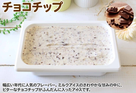 598.アイスクリーム チョコチップ ジェラート チョコ 業務用 2リットル 2L アイス 大容量  手作り 北海道 弟子屈町