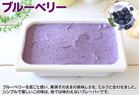 604.アイスクリーム ブルーベリー ジェラート ベリー 業務用 2リットル 2L アイス 大容量  手作り 北海道 弟子屈町