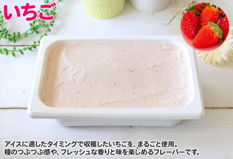 606.アイスクリーム いちご ジェラート イチゴ　苺 ベリー 業務用 2リットル 2L アイス 大容量  手作り 北海道 弟子屈町