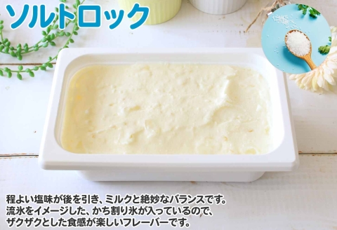613.アイスクリーム ソルトロック ジェラート 塩 業務用 2リットル 2L アイス 大容量  手作り 北海道 弟子屈町