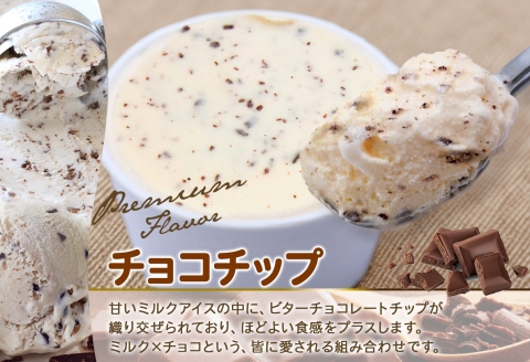 2335. くりーむ童話 カップアイス チョコチップ 100ml×6個 アイスクリーム アイス スイーツ 牛乳 ミルク 贈り物 gift ギフト プレゼント 詰め合わせ 送料無料 北海道 弟子屈町