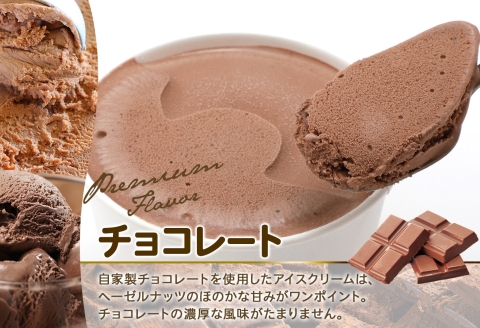 2342. 無地熨斗 くりーむ童話 カップアイス チョコレート 100ml×6個 チョコ アイスクリーム アイス スイーツ ミルク 贈り物 ギフト プレゼント 詰め合わせ 送料無料 北海道 弟子屈町