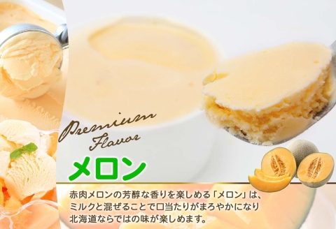 2339. 無地熨斗 くりーむ童話 カップアイス メロン 100ml×6個 アイスクリーム めろん アイス スイーツ おやつ 牛乳 ミルク 贈り物 gift ギフト プレゼント 詰め合わせ 送料無料