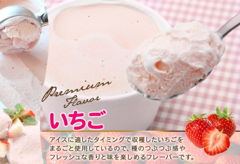 2343. 無地熨斗 くりーむ童話 カップアイス いちご 100ml×6個 アイスクリーム イチゴ 苺 アイス スイーツ ミルク 贈り物 ギフト プレゼント 詰め合わせ 送料無料 北海道 弟子屈町