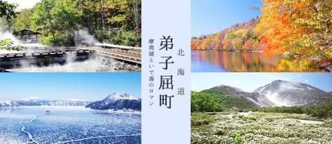 北海道弟子屈町ANAトラベラーズダイナミックパッケージクーポン（22,500点分）