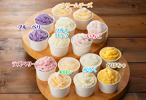 1338.アイスクリーム ジェラート 食べ比べ 15個 アイス フルーツ いっぱい C セット 手作り 北海道 弟子屈町