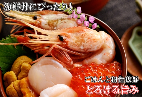 1311. ボタンエビ 500g えび エビ 海老 お刺身 魚介 海鮮 送料無料 北海道 弟子屈町