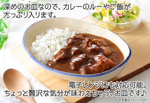 444.職人 手作り カレー 皿 さら お皿 工芸品 民芸品 陶芸 川湯温泉 北海道 弟子屈町
